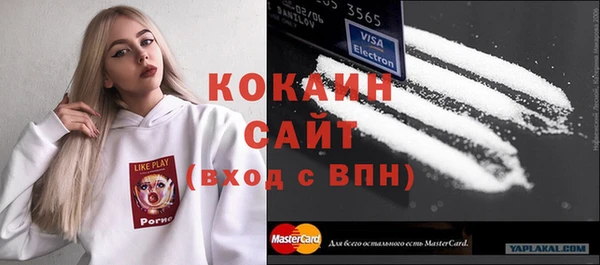 дживик Верхний Тагил