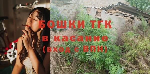 дживик Верхний Тагил