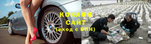 дживик Верхний Тагил